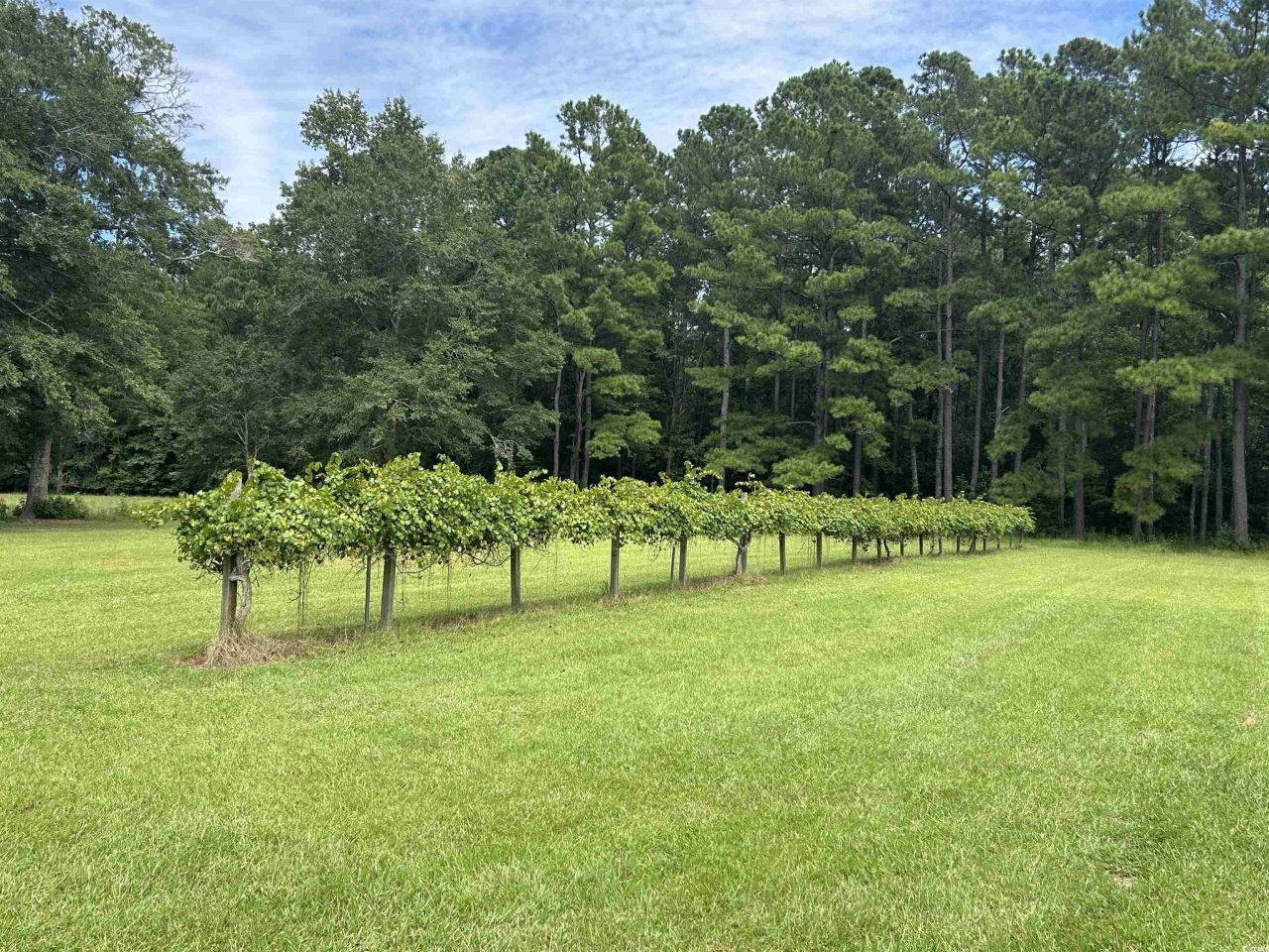 845 Old Buck Creek Rd. Photo 19