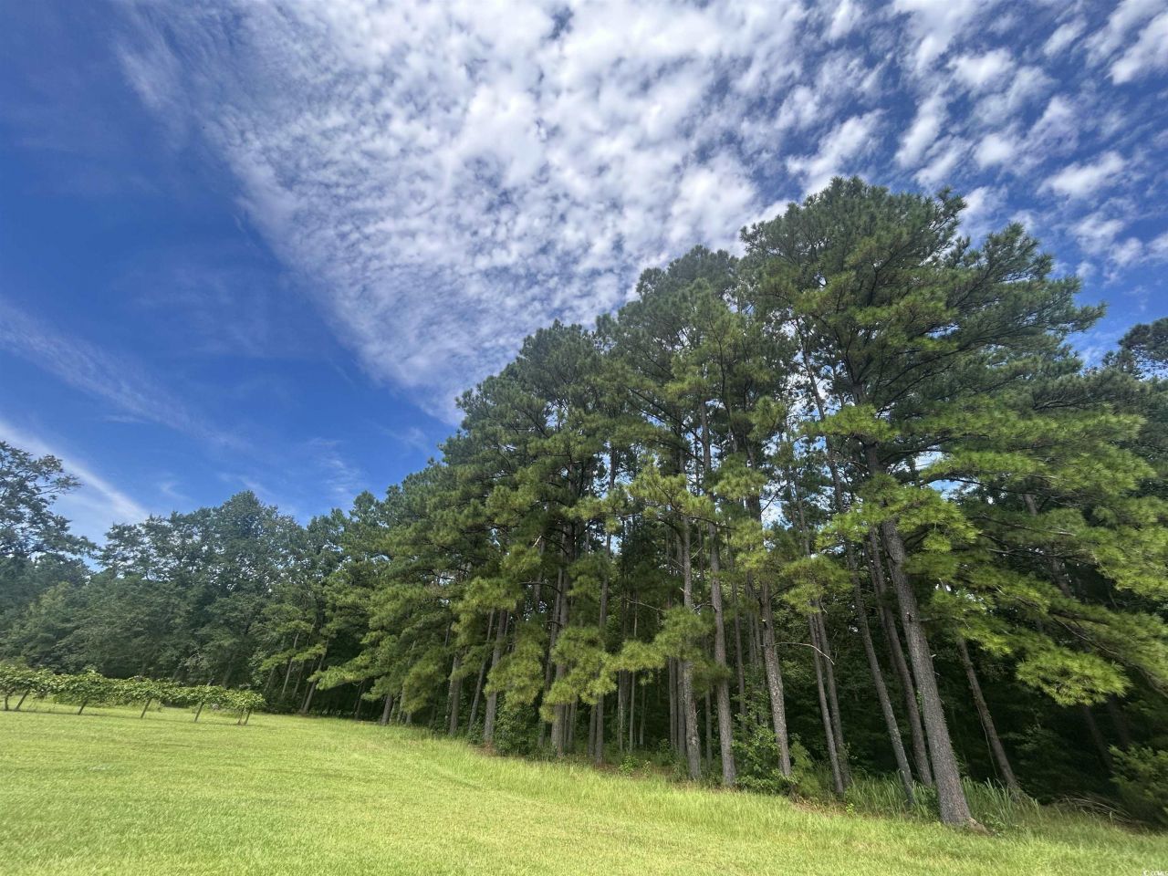 845 Old Buck Creek Rd. Photo 26