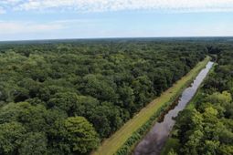 845 Old Buck Creek Rd. photo 4