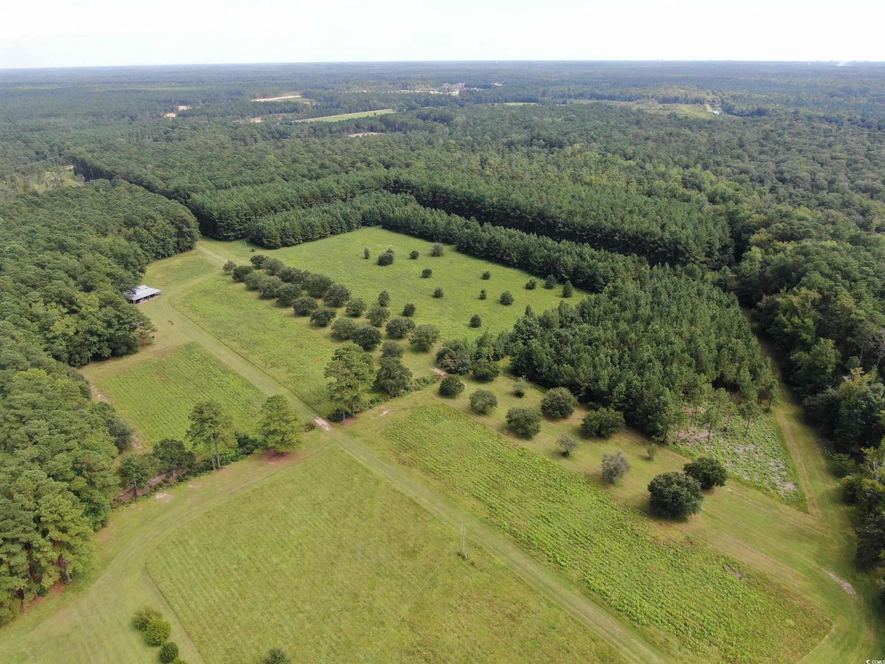 845 Old Buck Creek Rd. Photo 6