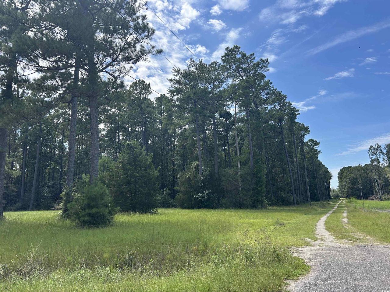 845 Old Buck Creek Rd. Photo 8