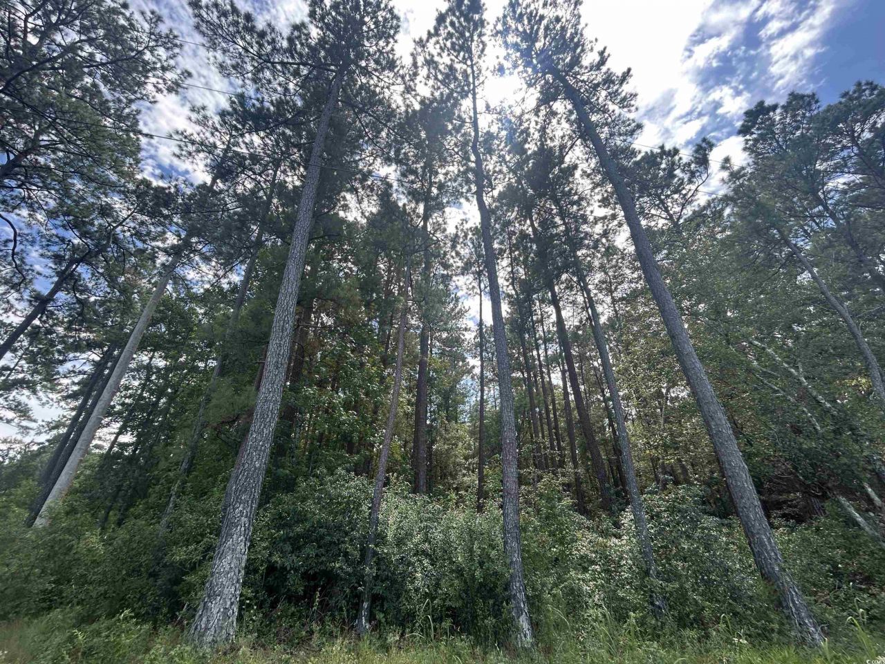 845 Old Buck Creek Rd. Photo 9