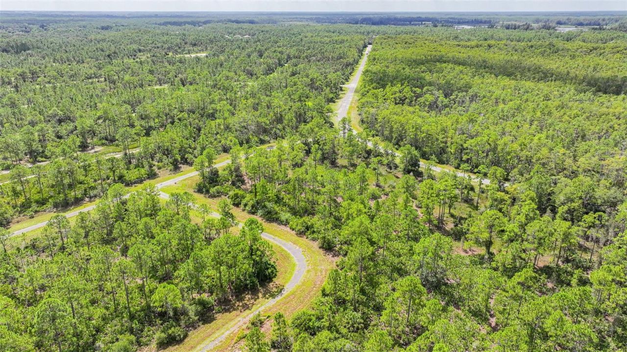 309 Nagle Court, Lehigh Acres, FL 33972 Photo