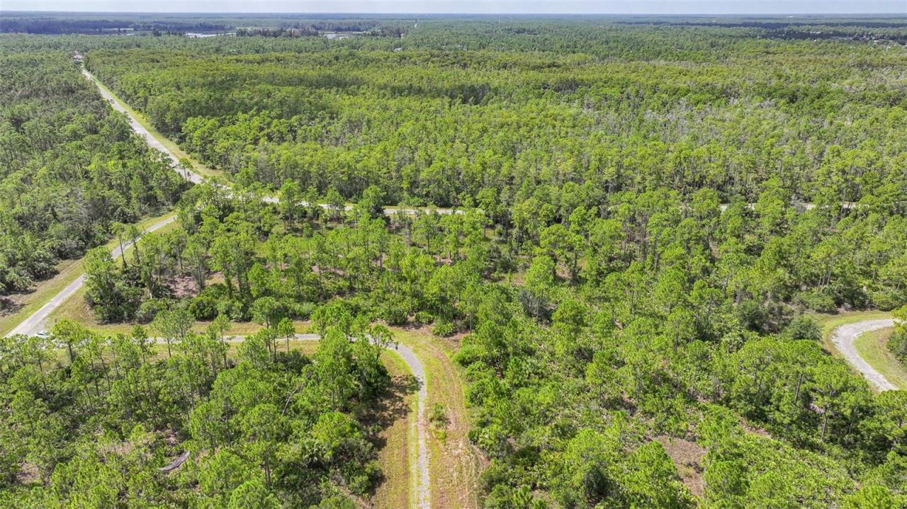 309 Nagle Court, Lehigh Acres, FL 33972 Photo