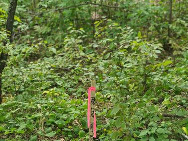 Tract B Richfield Road SW, Pillager, MN 56473