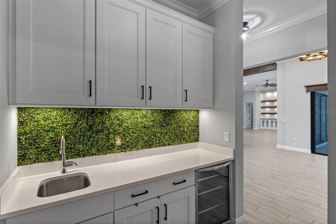 34595 Seneca Reserve Drive, Eustis, FL 32736 Photo