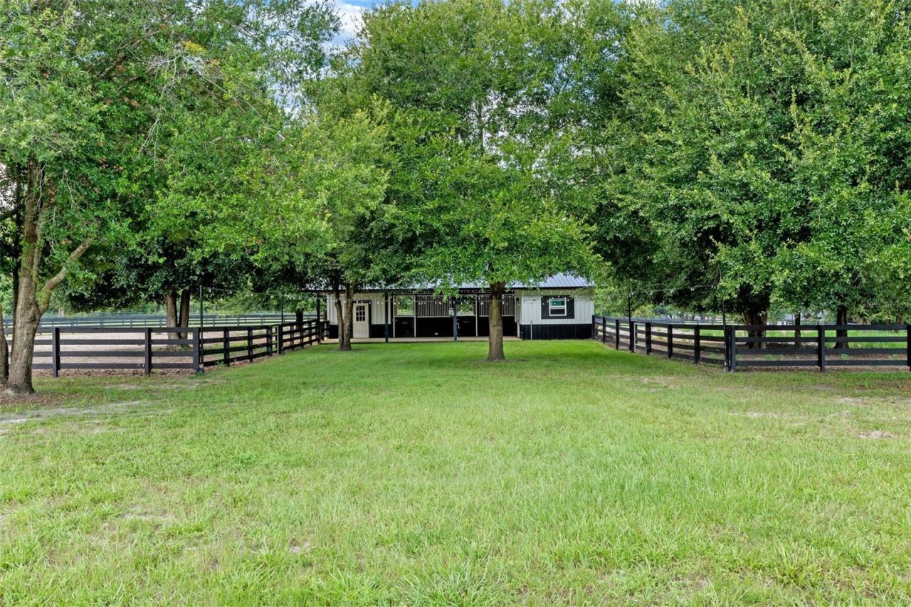 34595 Seneca Reserve Drive, Eustis, FL 32736 Photo