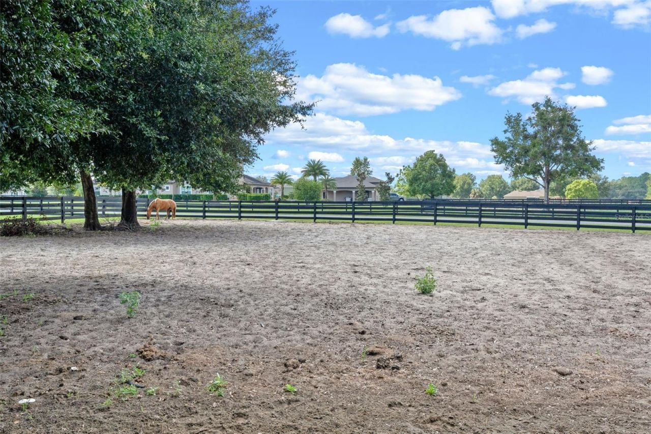 34595 Seneca Reserve Drive, Eustis, FL 32736 Photo