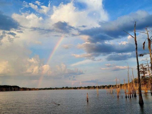 0 Pecan Grove Road, Woodville, MS 39669