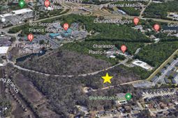 0 Henry Tecklenburg Drive photo 4