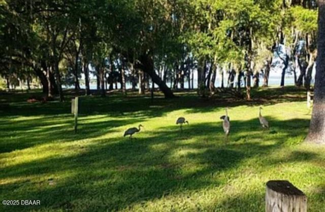 25235 NE 142nd (lot 185) Lane, Salt Springs, FL 32134 Photo