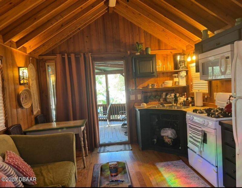 25235 NE 142nd (lot 185) Lane, Salt Springs, FL 32134 Photo