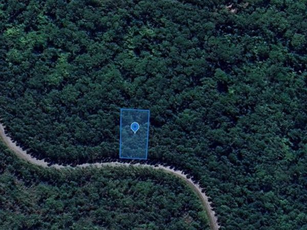 6306 Steve Drive, Avon Park, FL 33872