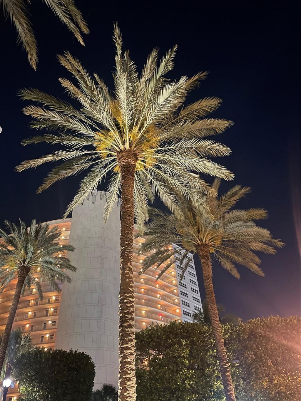 4100 Galt Ocean Drive, Unit 306, Fort Lauderdale, FL 33308 Photo