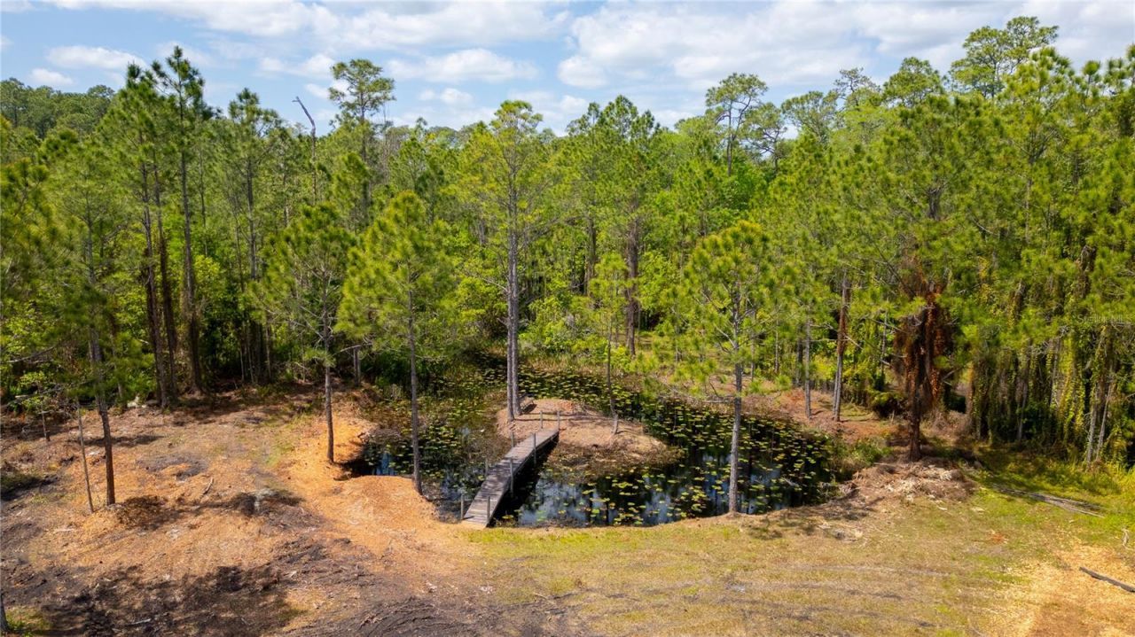 7450 E Irlo Bronson Memorial Highway, Saint Cloud, FL 34771 Photo