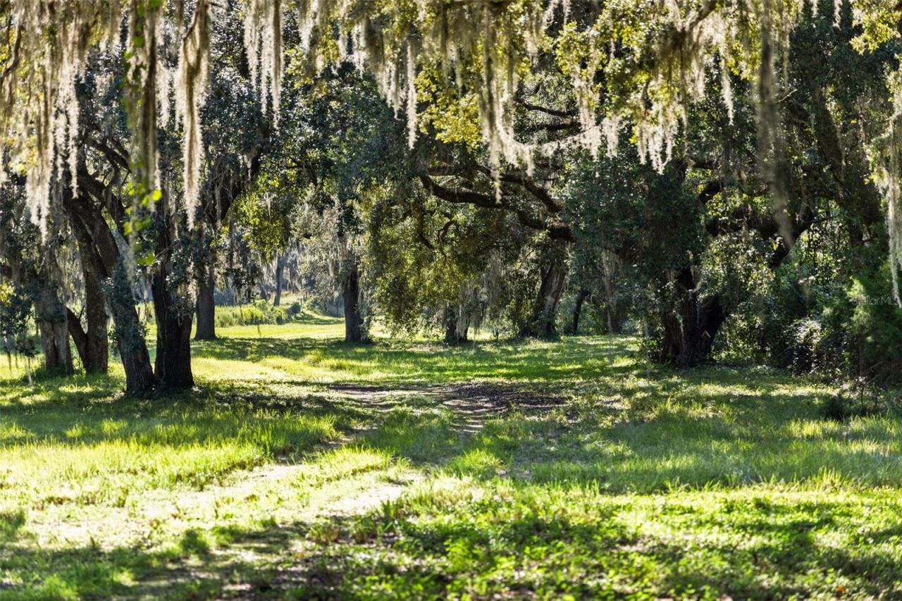 14765 Us Highway 41, Spring Hill, FL 34610 Photo