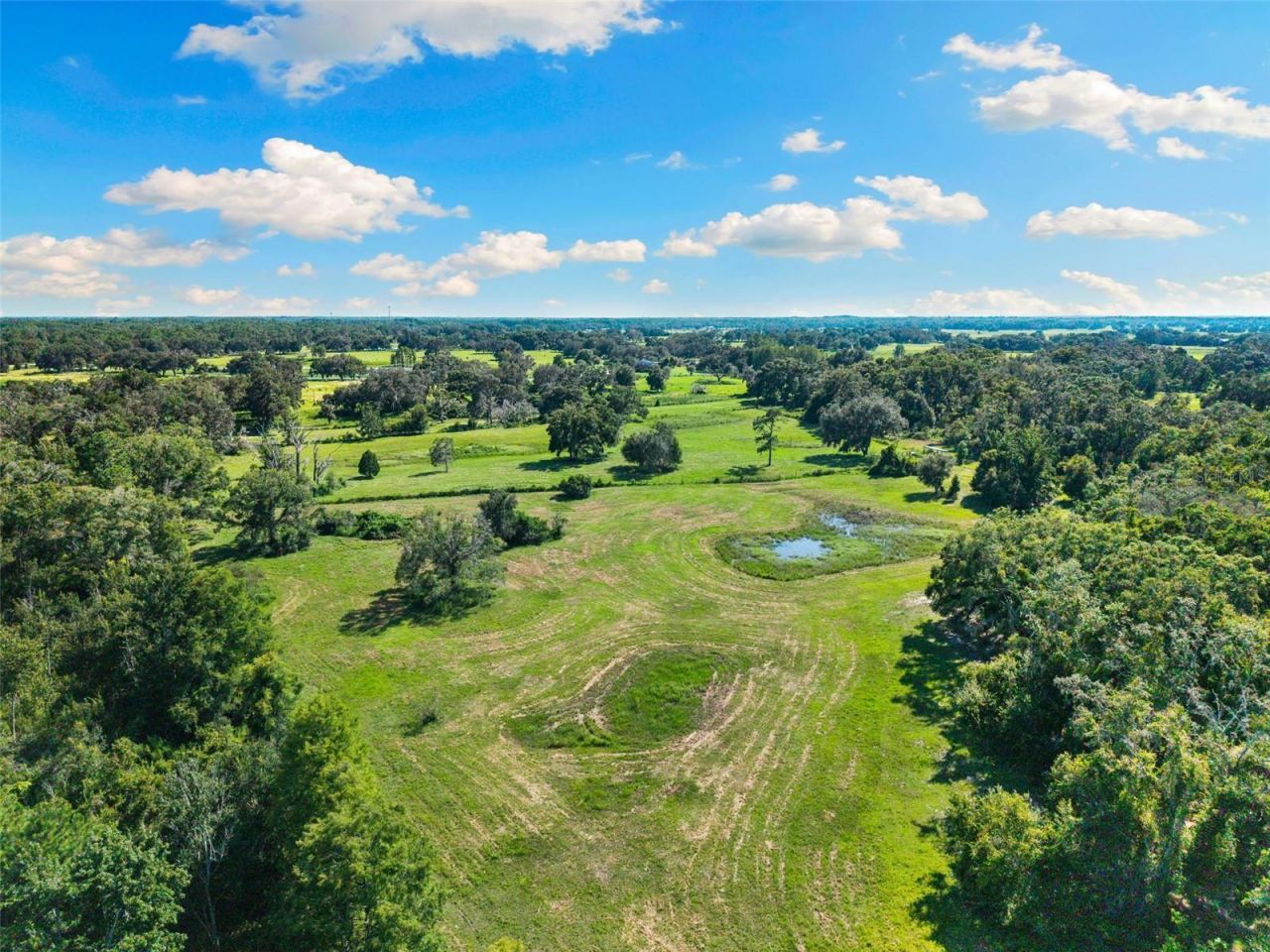 14765 Us Highway 41, Spring Hill, FL 34610 Photo