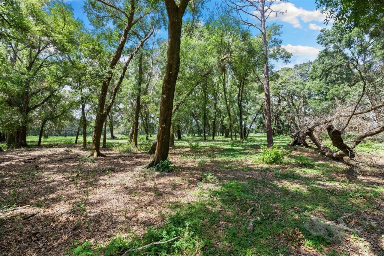 14765 Us Highway 41, Spring Hill, FL 34610 Photo