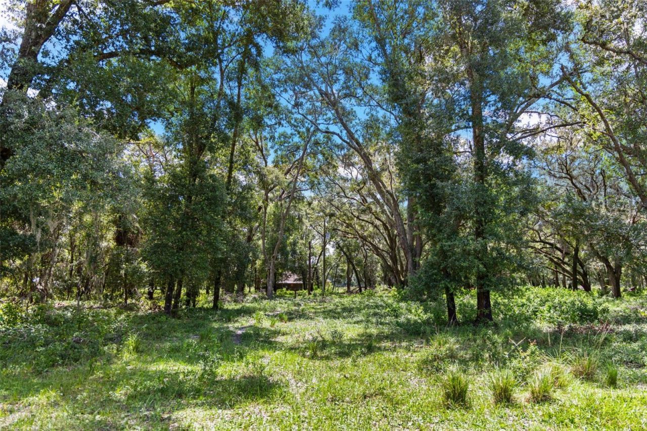 14765 Us Highway 41, Spring Hill, FL 34610 Photo