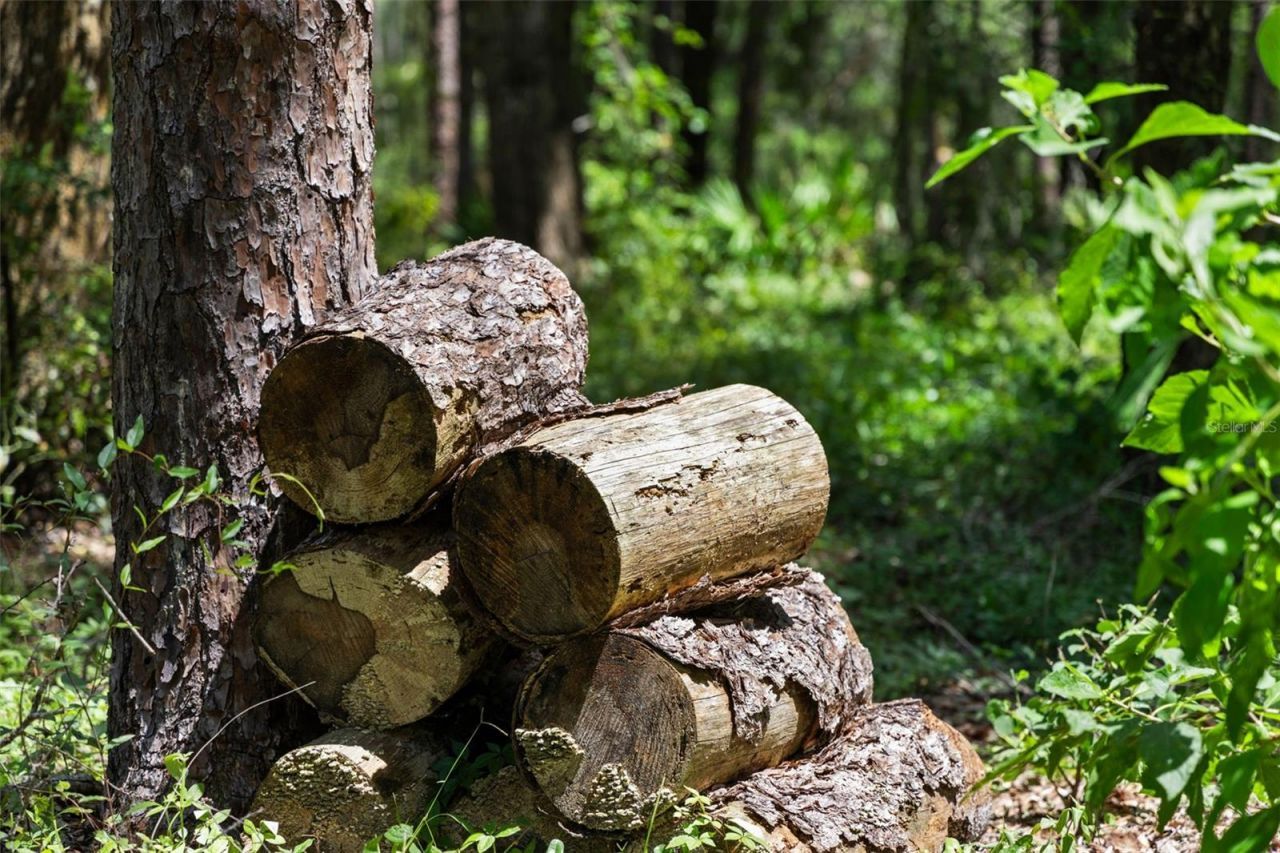 14765 Us Highway 41, Spring Hill, FL 34610 Photo