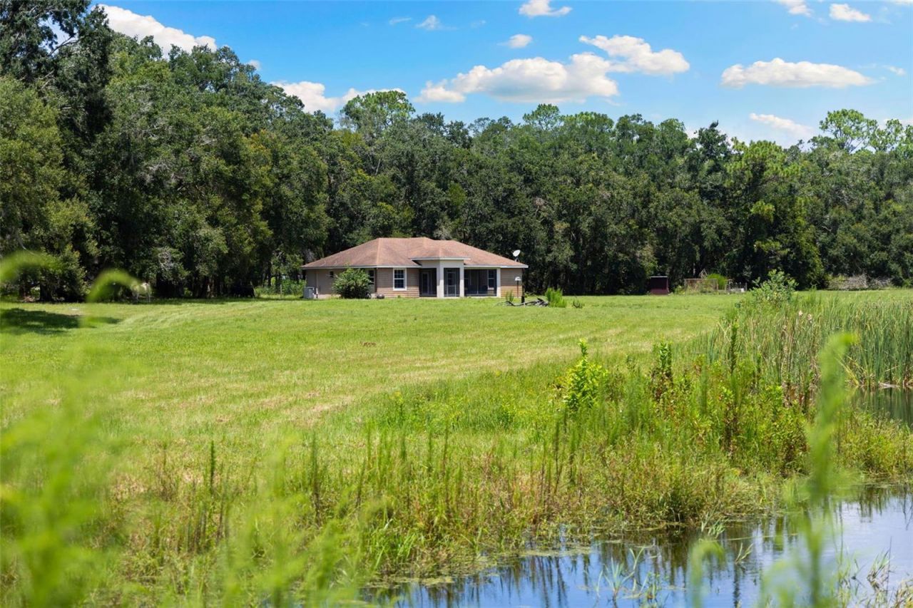 14765 Us Highway 41, Spring Hill, FL 34610 Photo