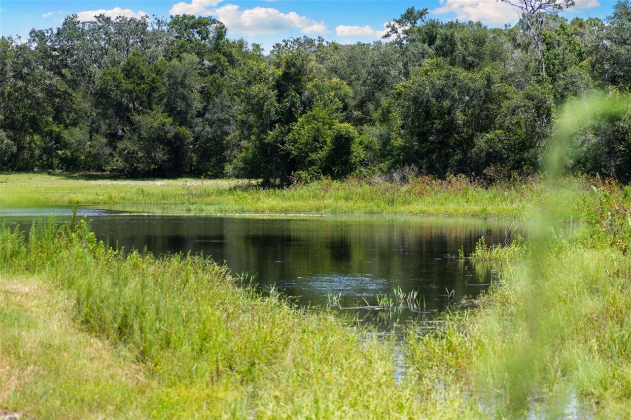 14765 Us Highway 41, Spring Hill, FL 34610 Photo