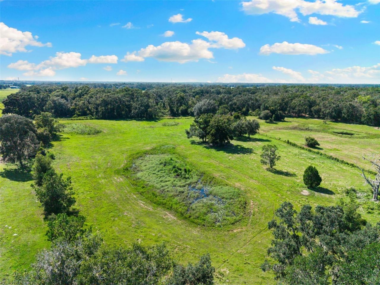 14765 Us Highway 41, Spring Hill, FL 34610 Photo