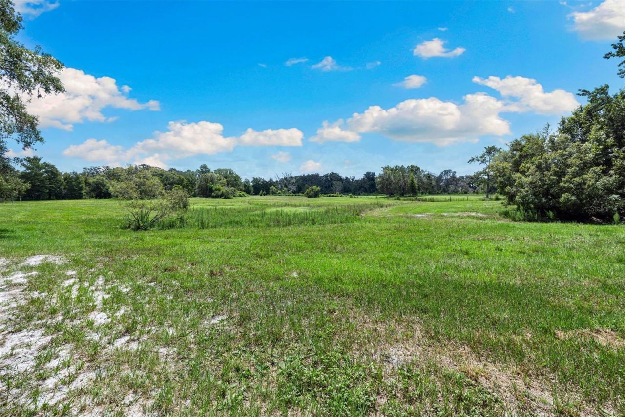 14765 Us Highway 41, Spring Hill, FL 34610 Photo