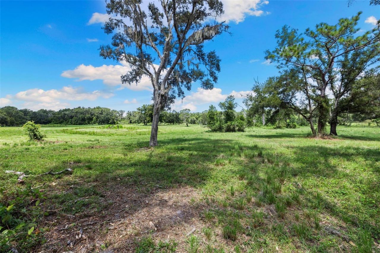 14765 Us Highway 41, Spring Hill, FL 34610 Photo