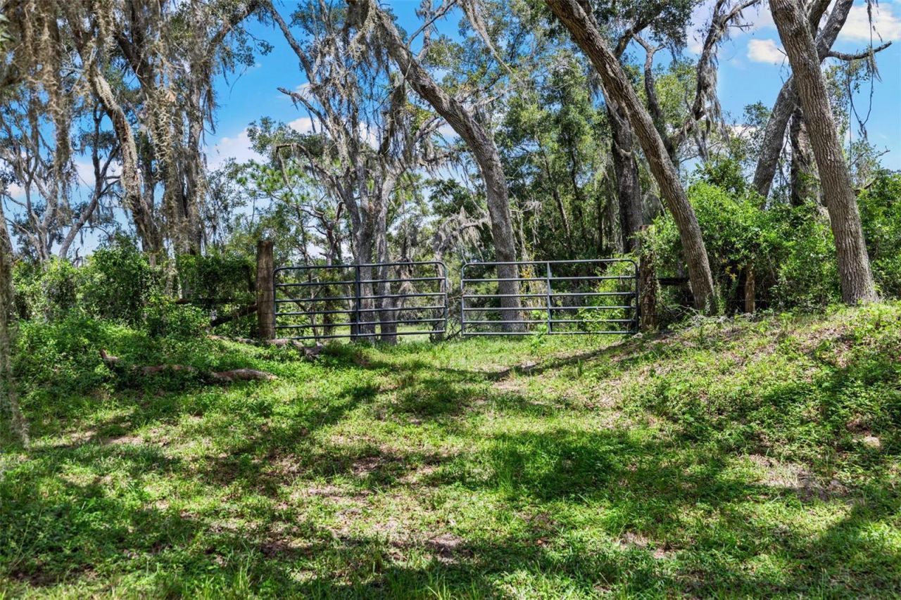 14765 Us Highway 41, Spring Hill, FL 34610 Photo