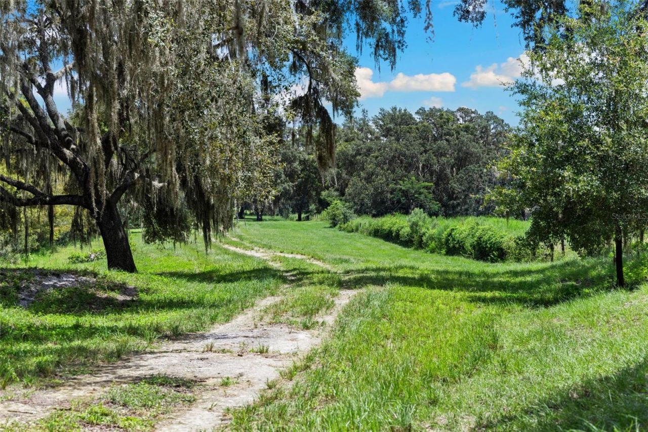 14765 Us Highway 41, Spring Hill, FL 34610 Photo