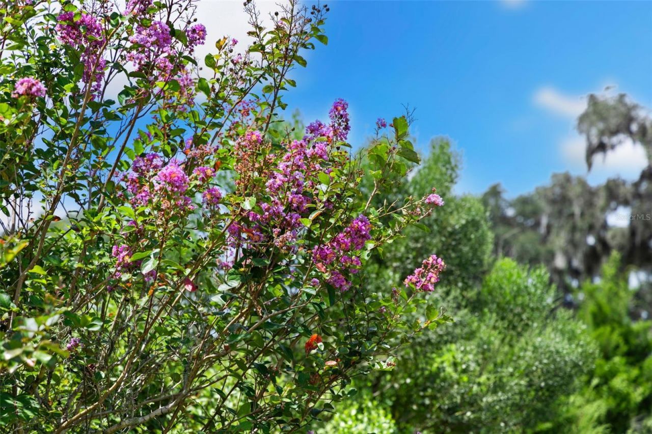 14765 Us Highway 41, Spring Hill, FL 34610 Photo