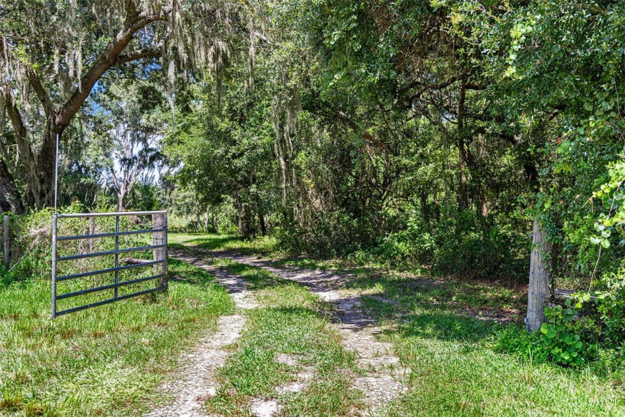 14765 Us Highway 41, Spring Hill, FL 34610 Photo