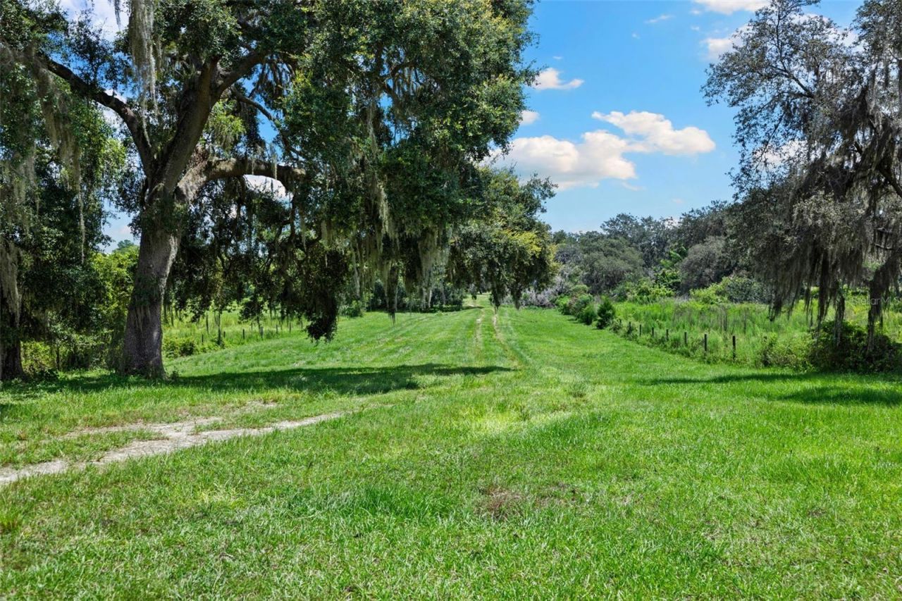 14765 Us Highway 41, Spring Hill, FL 34610 Photo