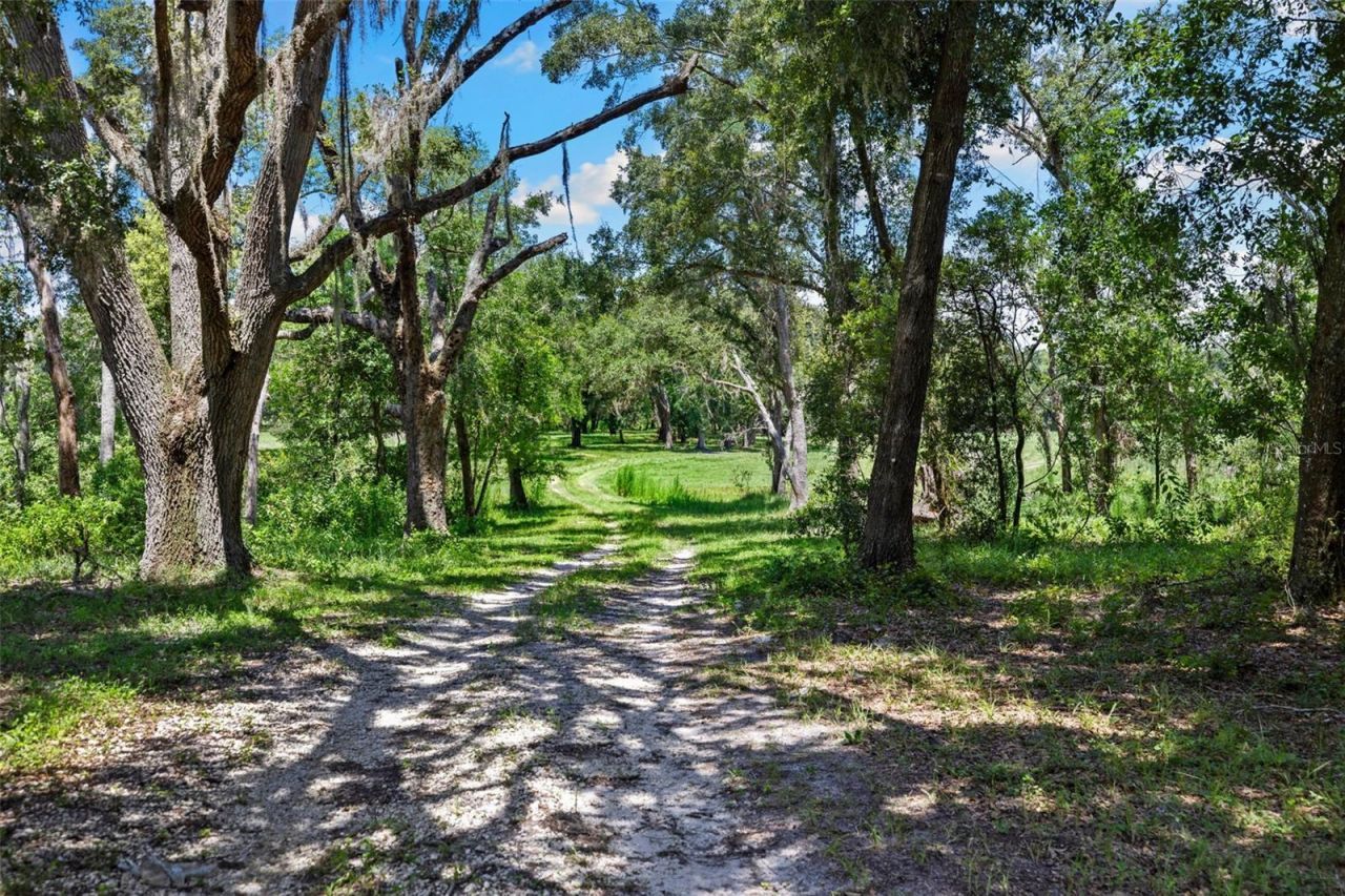 14765 Us Highway 41, Spring Hill, FL 34610 Photo