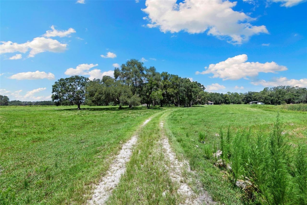 14765 Us Highway 41, Spring Hill, FL 34610 Photo