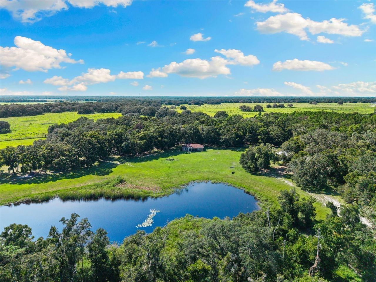 14765 Us Highway 41, Spring Hill, FL 34610 Photo