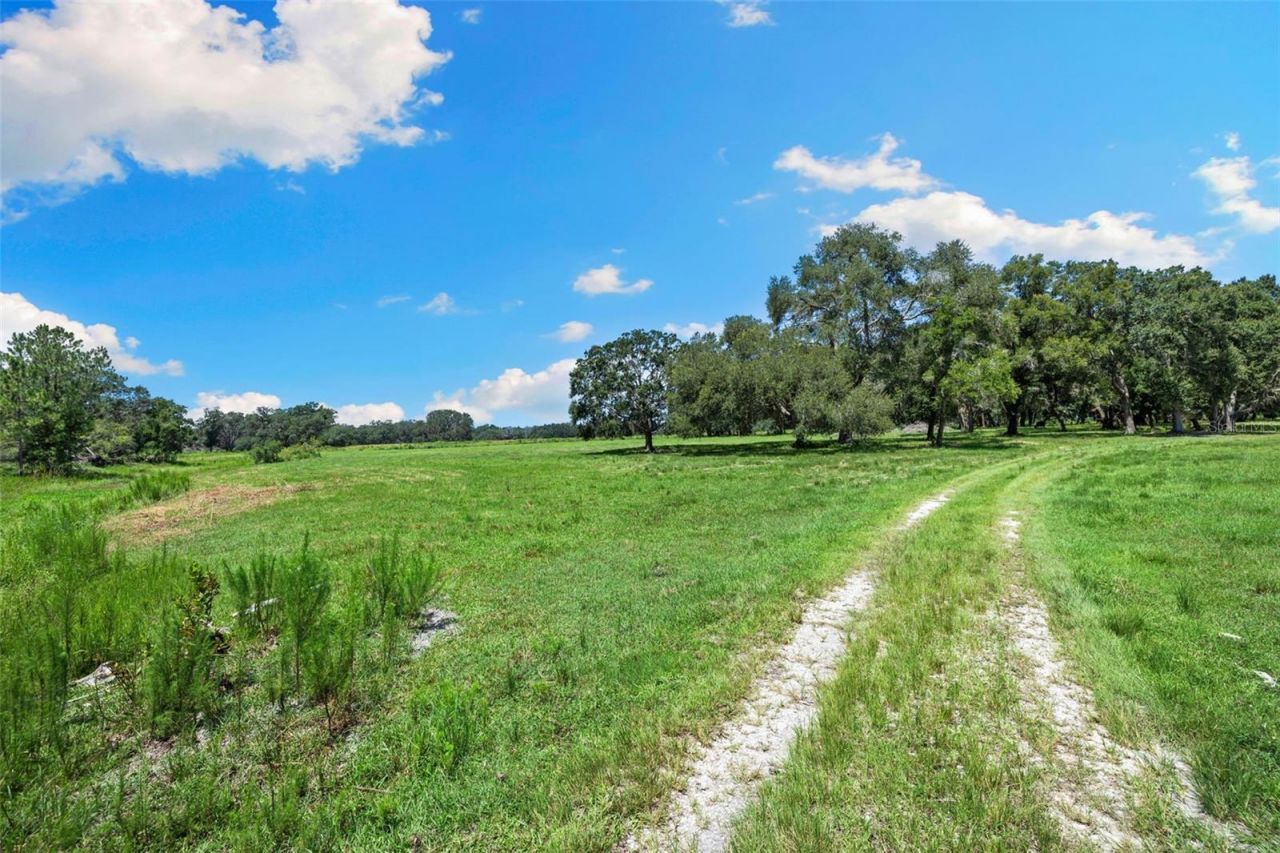 14765 Us Highway 41, Spring Hill, FL 34610 Photo