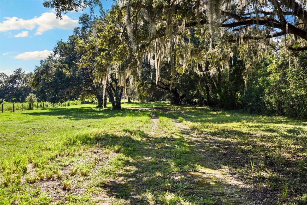 14765 Us Highway 41, Spring Hill, FL 34610 Photo