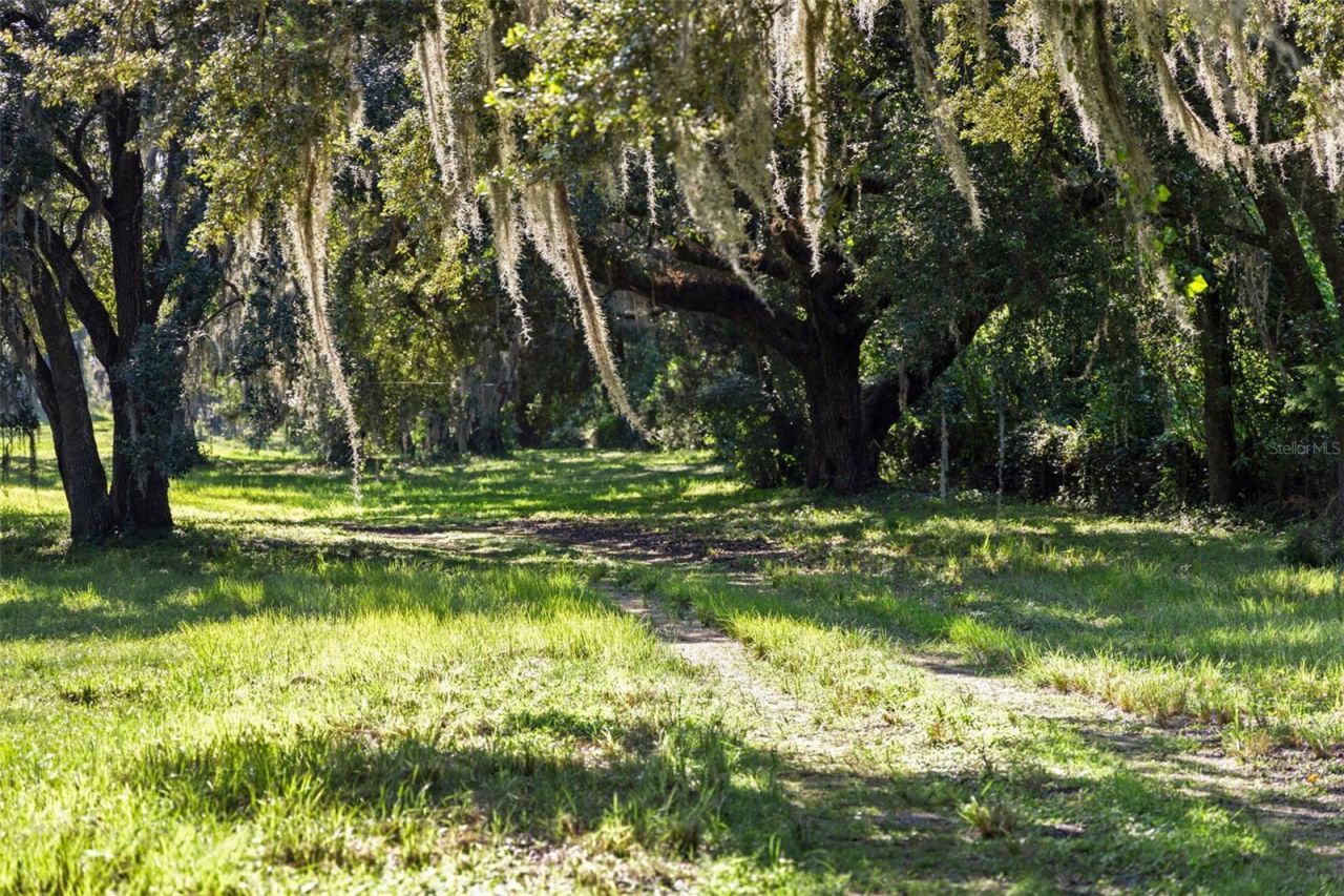 14765 Us Highway 41, Spring Hill, FL 34610 Photo