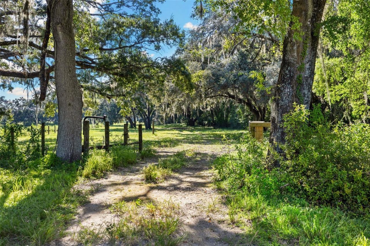 14765 Us Highway 41, Spring Hill, FL 34610 Photo