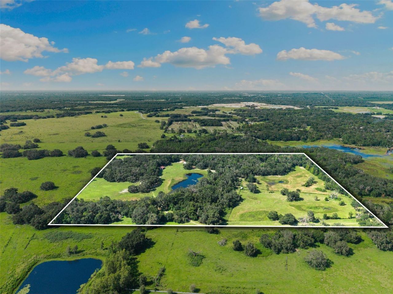 14765 Us Highway 41, Spring Hill, FL 34610 Photo