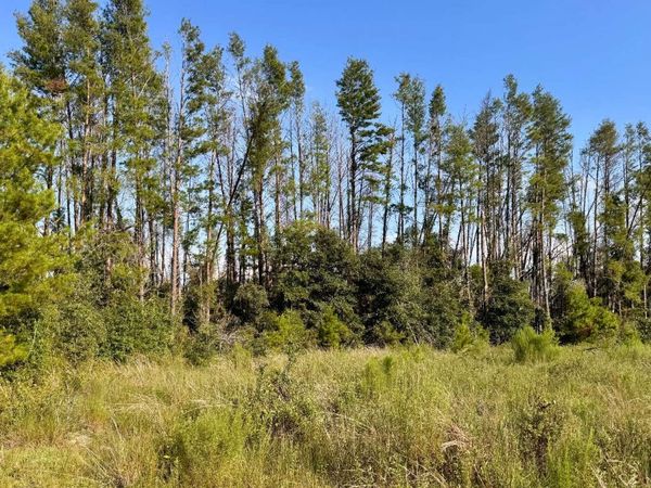 LT 2F SW 52ND LANE, Jasper, FL 32052