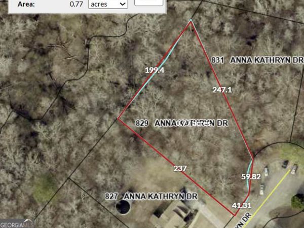 829 Anna Kathryn Drive, Stockbridge, GA 30281
