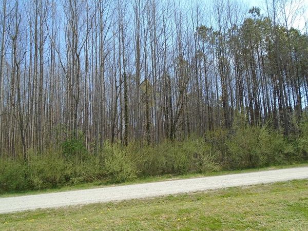 Lot 14 Old Mill Lane, HEATHSVILLE, VA 22473