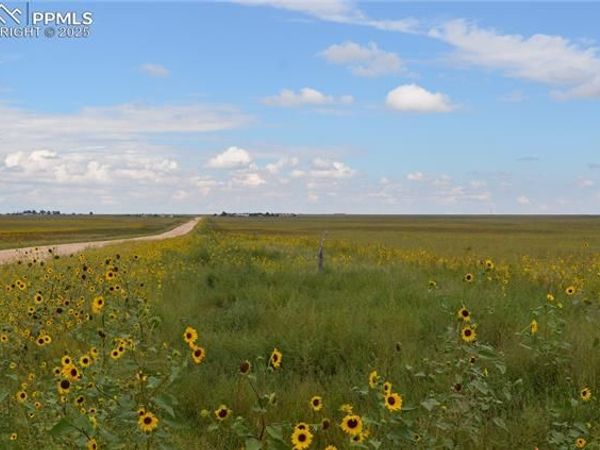 Parcel 6 County Road 2, Rush, CO 80833
