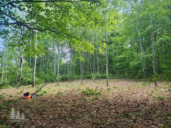 L17, 35-38 Wayland & Donnybrook Drive, Frederic, MI 49733