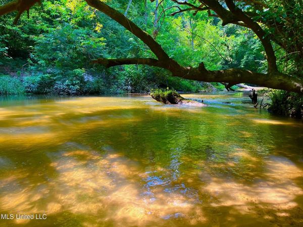 Twin Bridge Rd, Sandy Hook, MS 39478