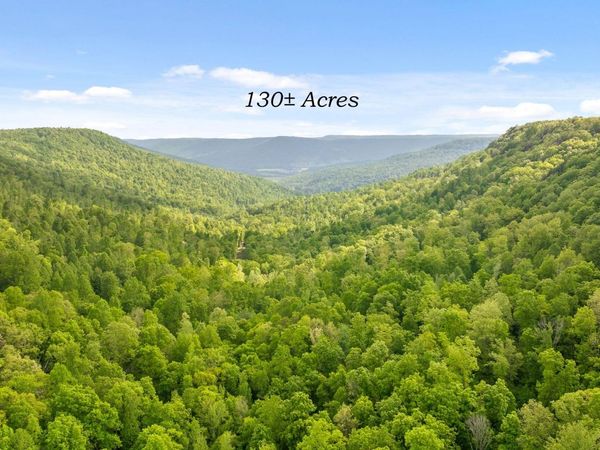 7335 S Pittsburg Mountain Road, South Pittsburg, TN 37380