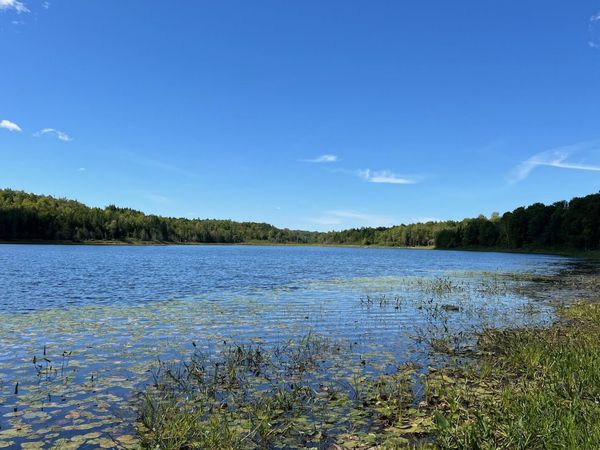 Map 1 Lot 16 Dexter Road, Garland, ME 04939